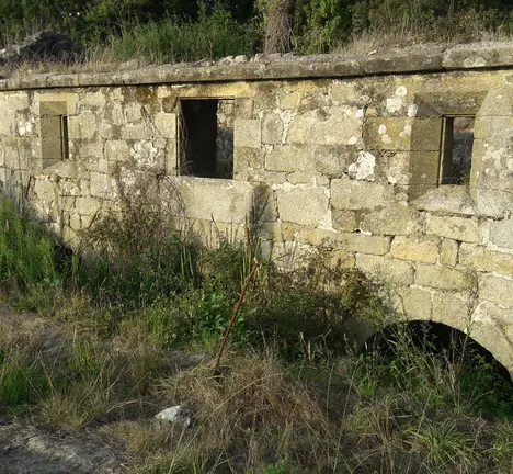 Mu&iacute;&ntilde;oPortodoMolle