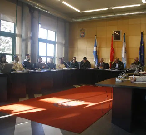 Sesi&oacute;n plenaria do Concello de Nigr&aacute;n.